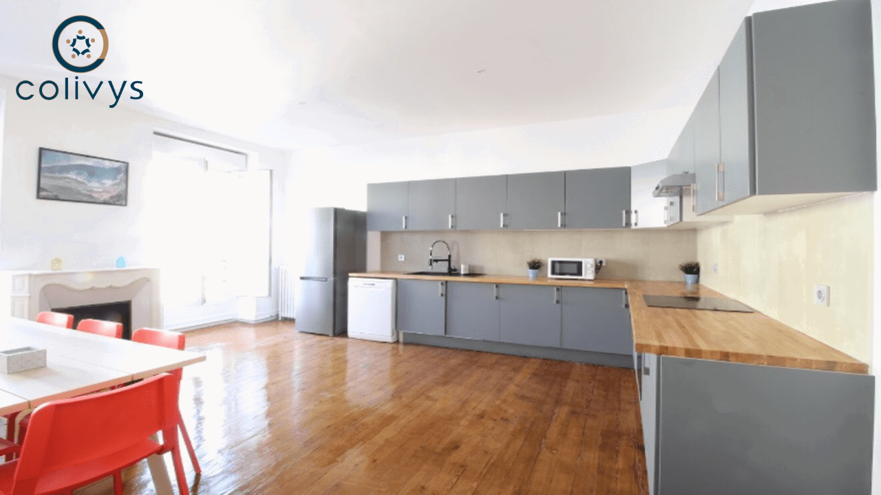 Colocation Bordeaux 226232