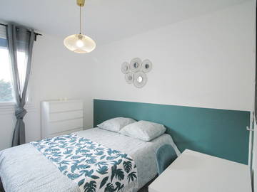 Chambre À Louer Villeurbanne 264529