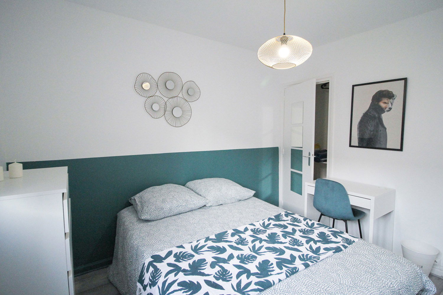 Colocation Villeurbanne 264529