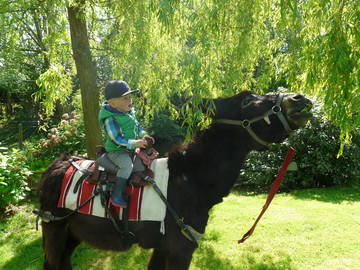 Logement Entier Criquetot-L'esneval 65135-9