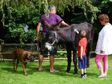 Logement Entier Criquetot-L'esneval 65135-10