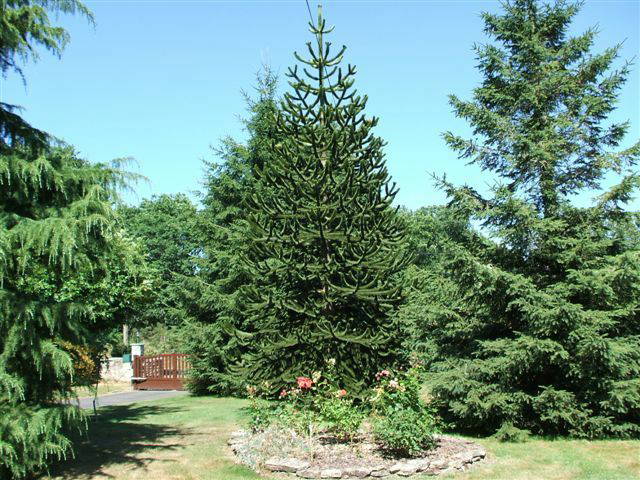 Ganzes Haus Baye 45523-3