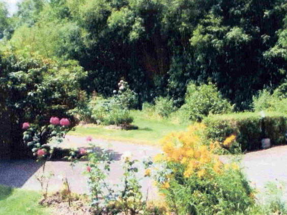 Ganzes Haus Baye 45523-5