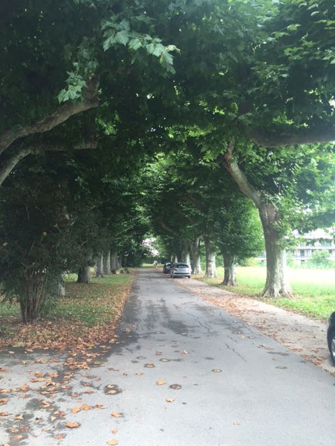 Homestay Prévessin-Moëns 240384