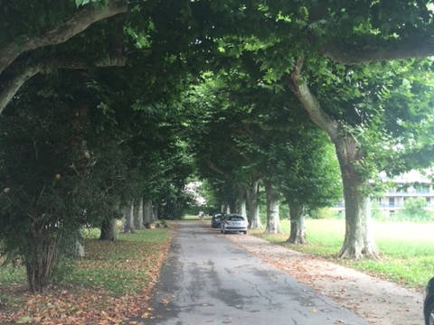 Tuisverblyf Prévessin-Moëns 240384-4