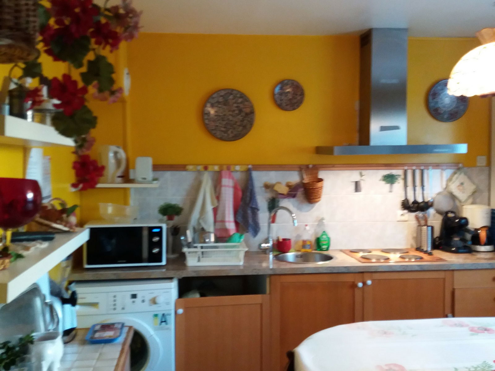 Homestay Soisy-sous-Montmorency 249048