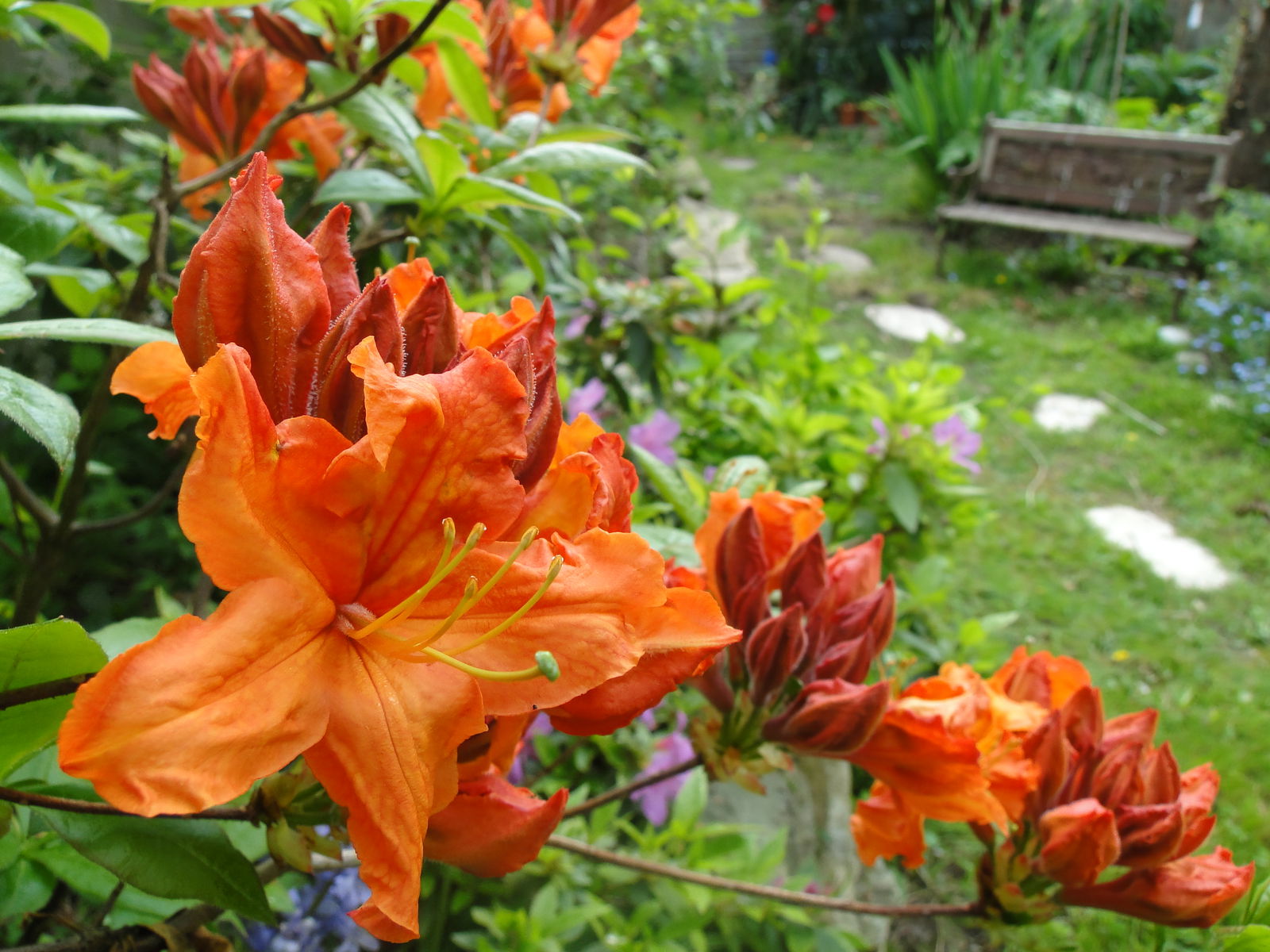 Homestay Quimper 263168