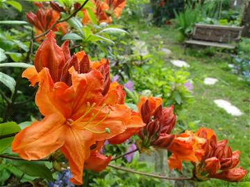 Chambre Chez L'habitant Quimper 263168-6