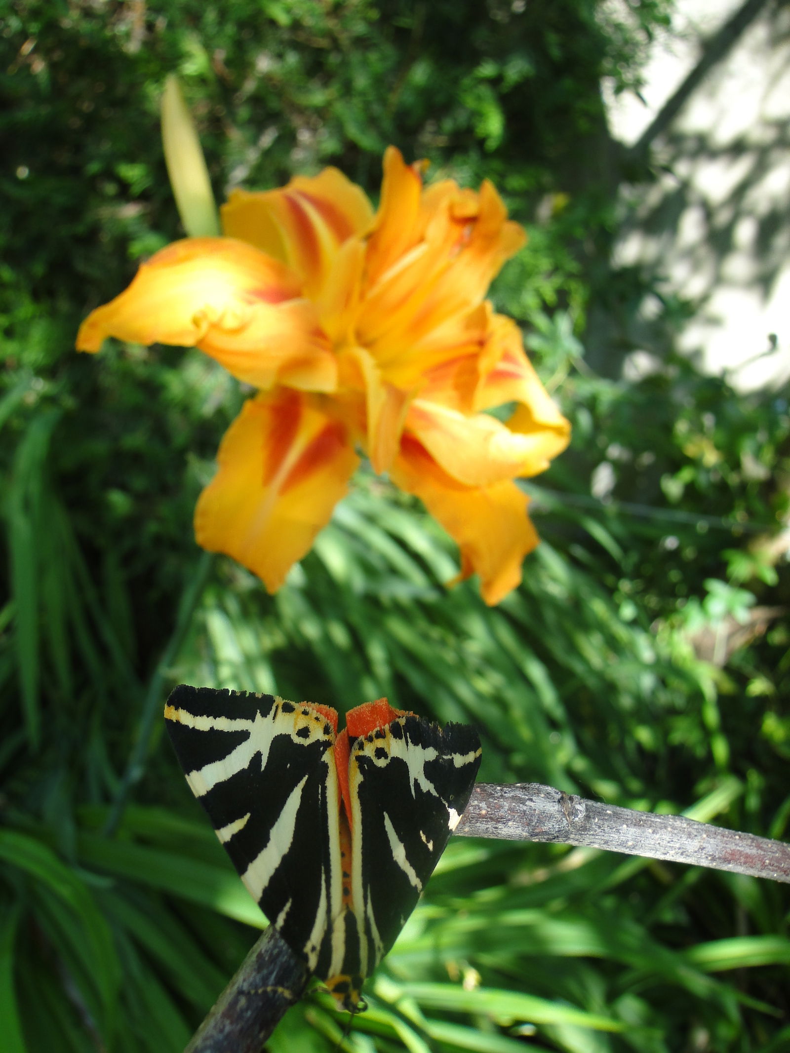 Homestay Quimper 263168