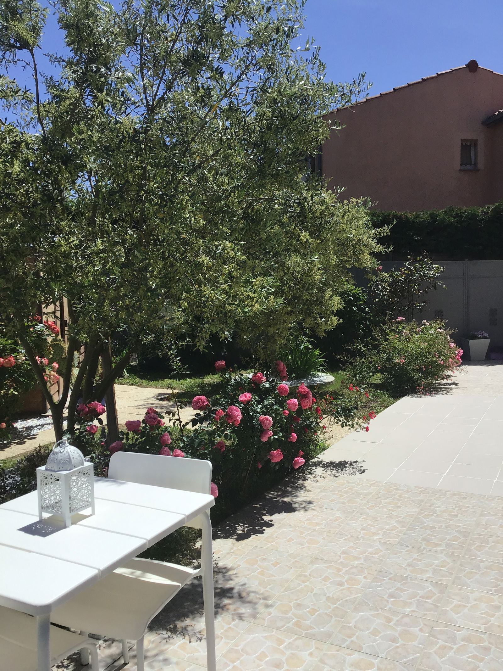 Homestay Colomiers 265089