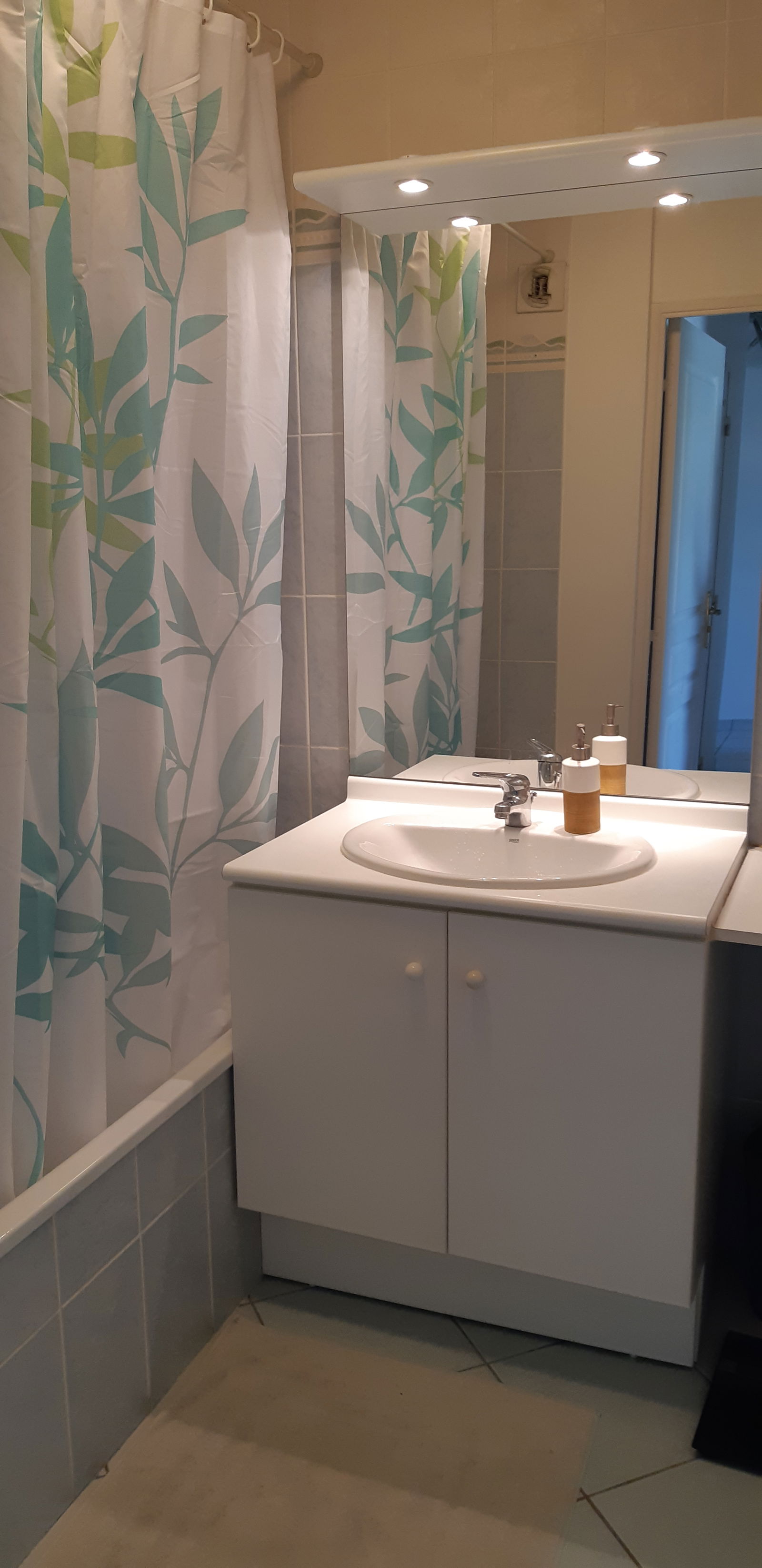 Homestay Lyon 268063