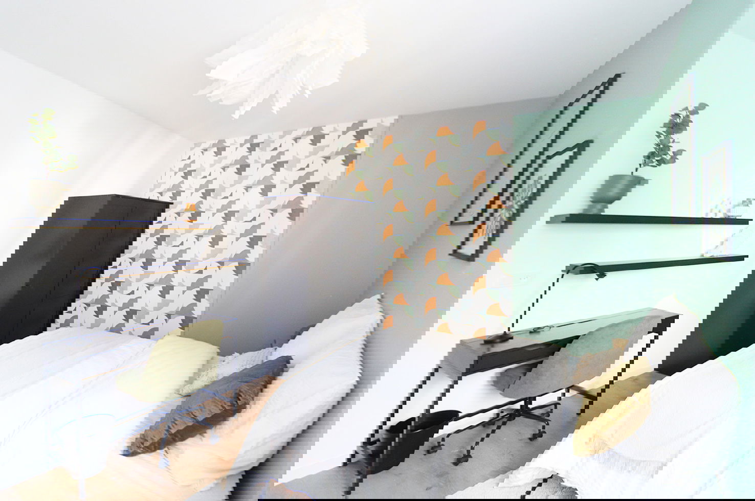 Colocation Schiltigheim 264914