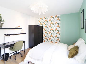 Chambre À Louer Schiltigheim 264914