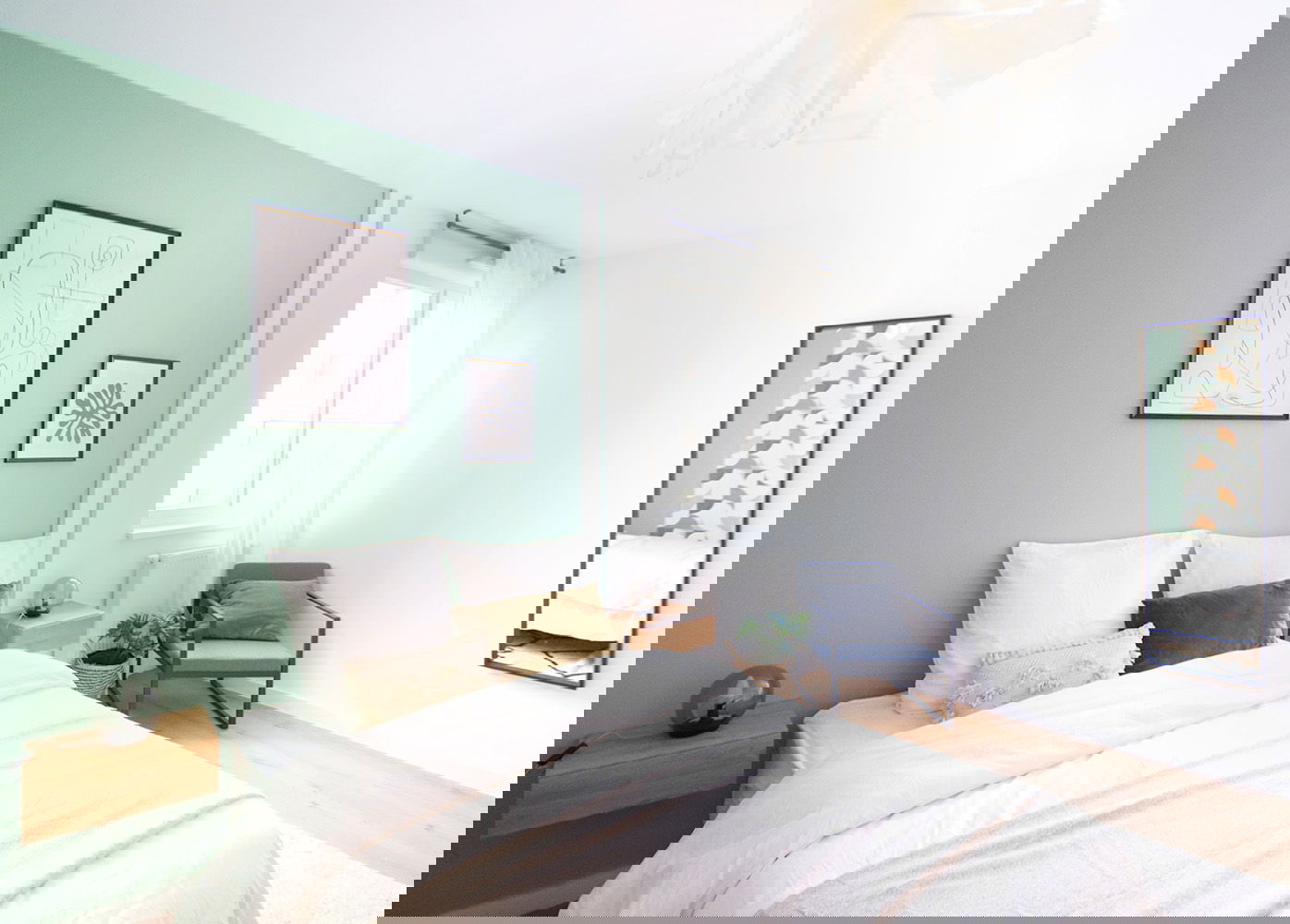 Colocation Schiltigheim 264914