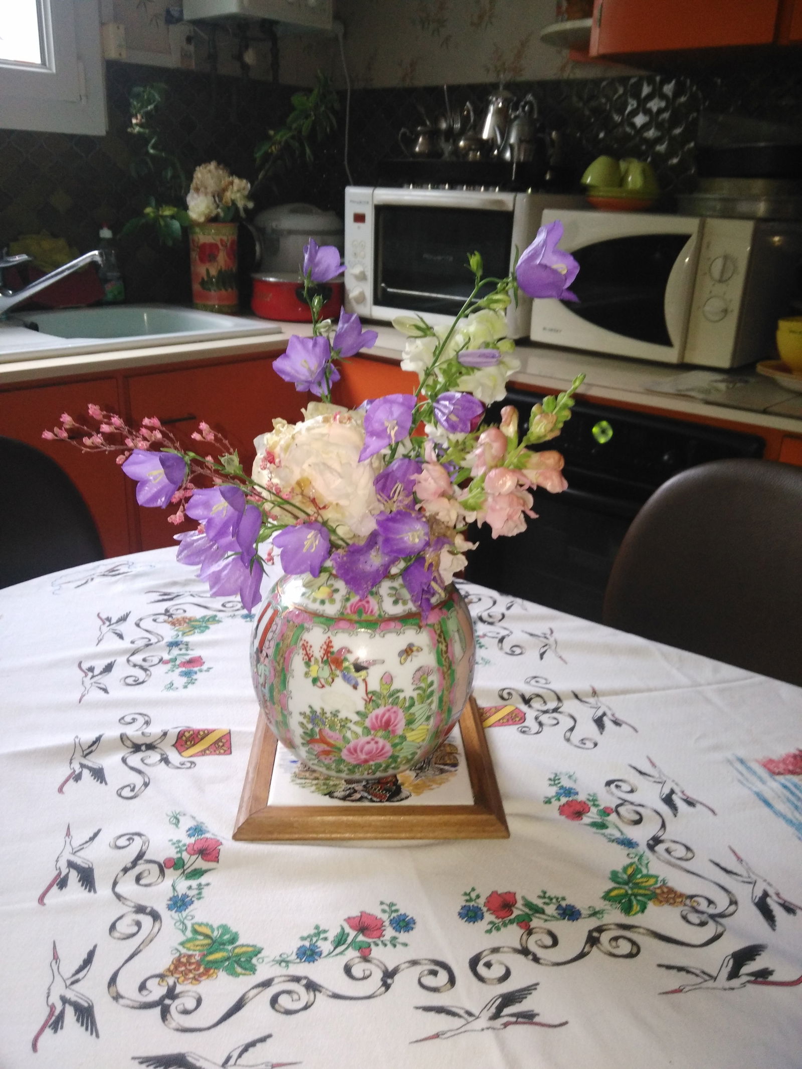 Homestay Orléans 84595