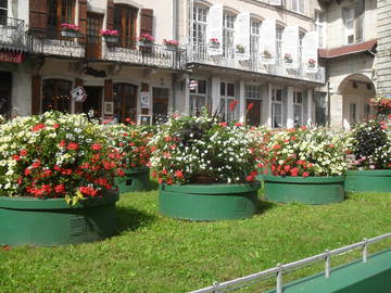Logement Entier Plombières-Les-Bains 132994-10