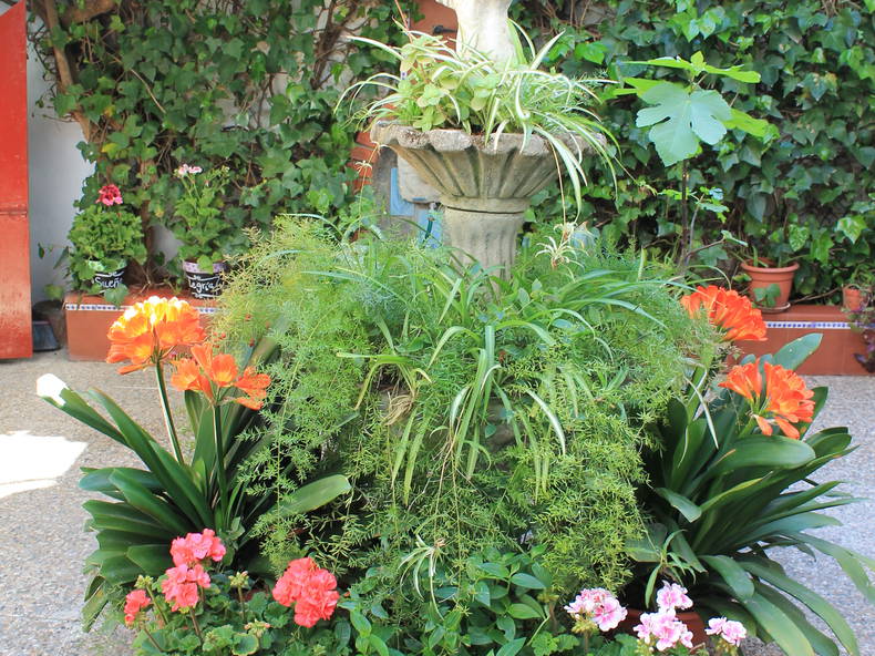 Tuisverblyf Córdoba 139915-2