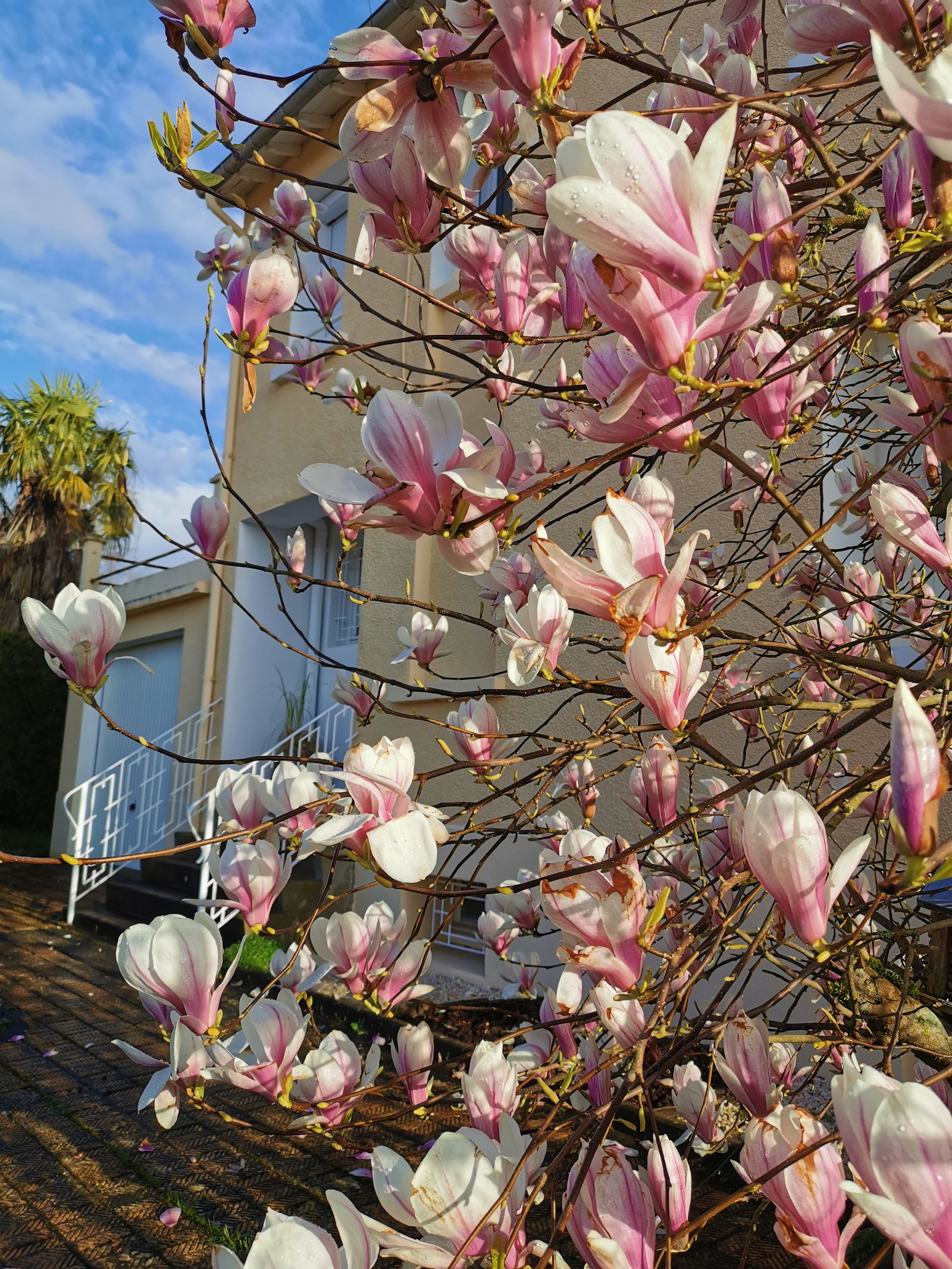 Gehele Woning Poitiers 114385