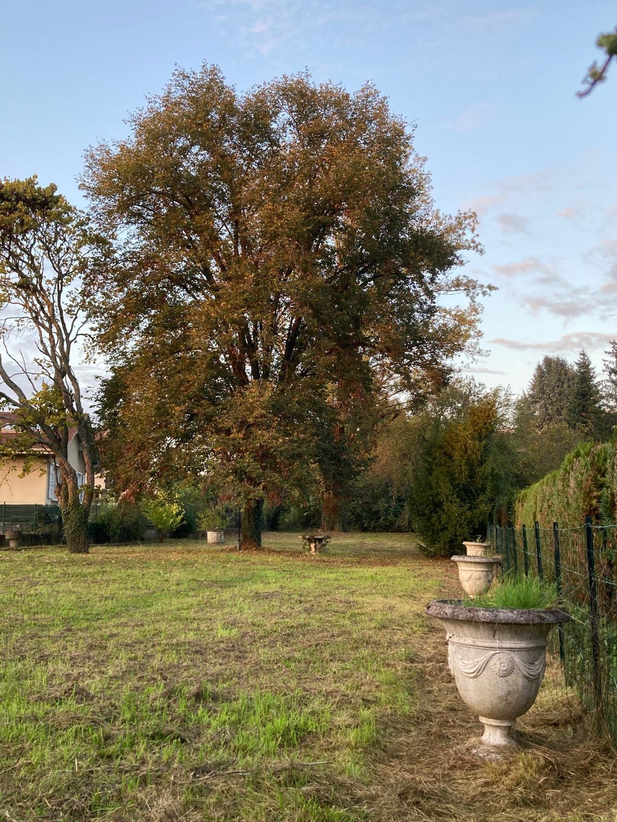 Coliving Annemasse 677578