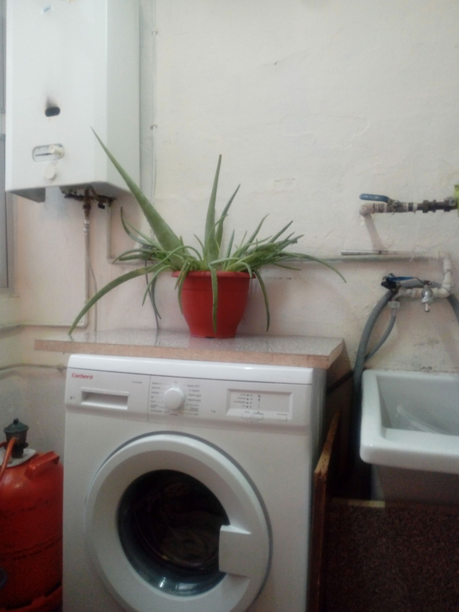 Zakwaterowanie U Rodziny Granada 235279