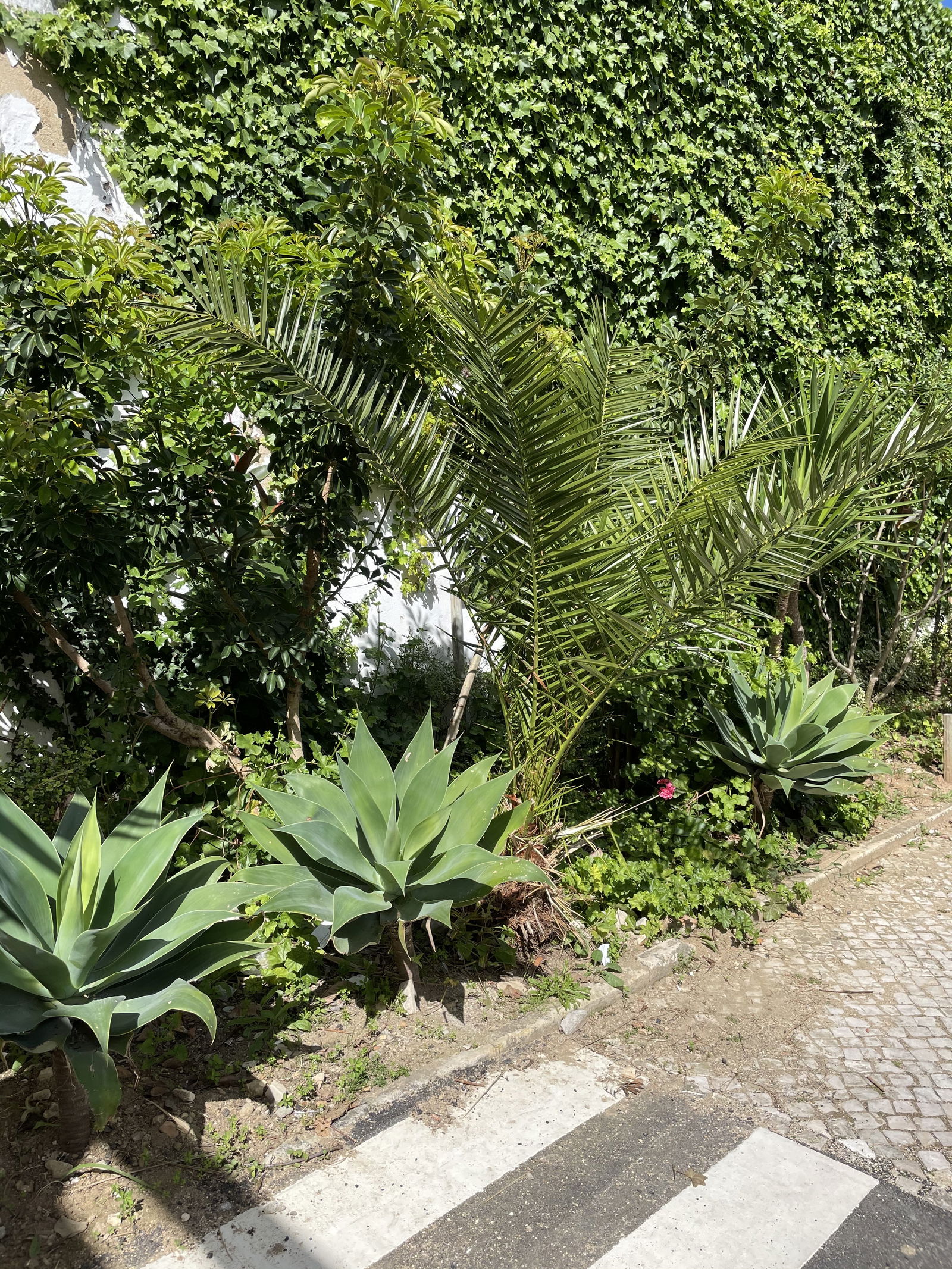 Zakwaterowanie U Rodziny Lisboa 248633