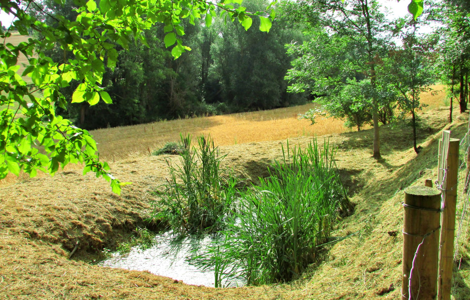 Zakwaterowanie U Rodziny Lagarde 265426