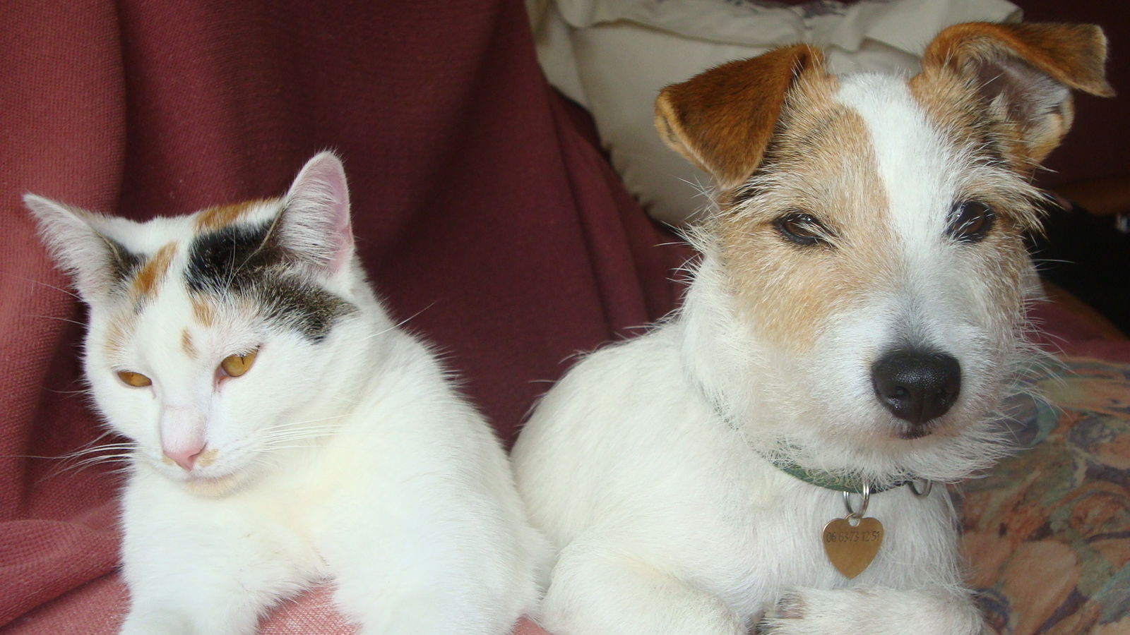 Zakwaterowanie U Rodziny Chelles 165599