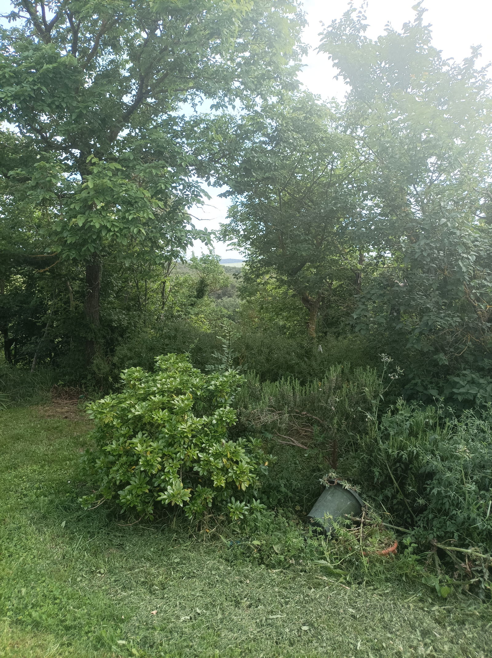 Zakwaterowanie U Rodziny Avignonet-Lauragais 385658