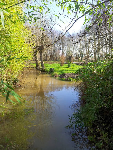 Zakwaterowanie U Rodziny Niort 69414