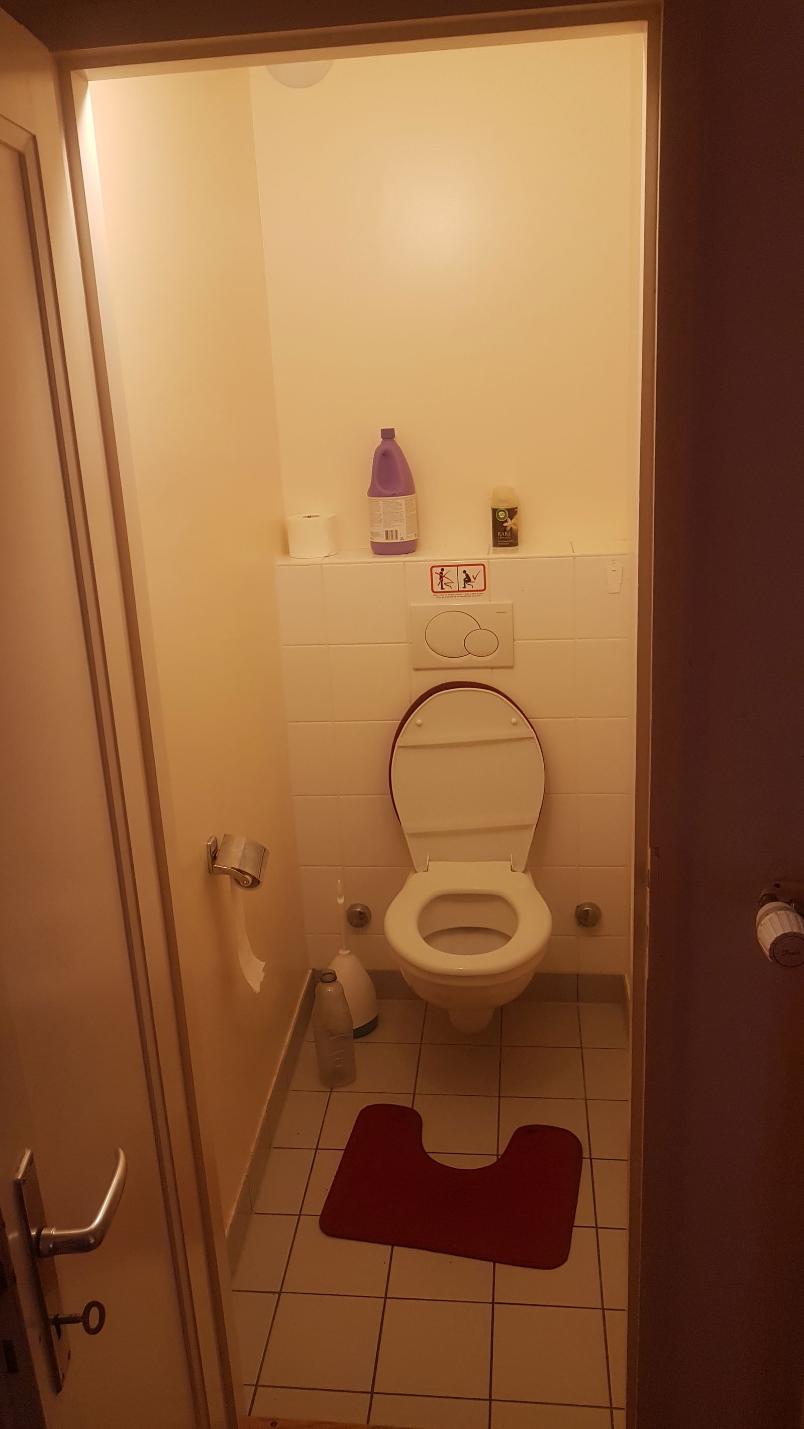 Kolokacja Carouge 248248