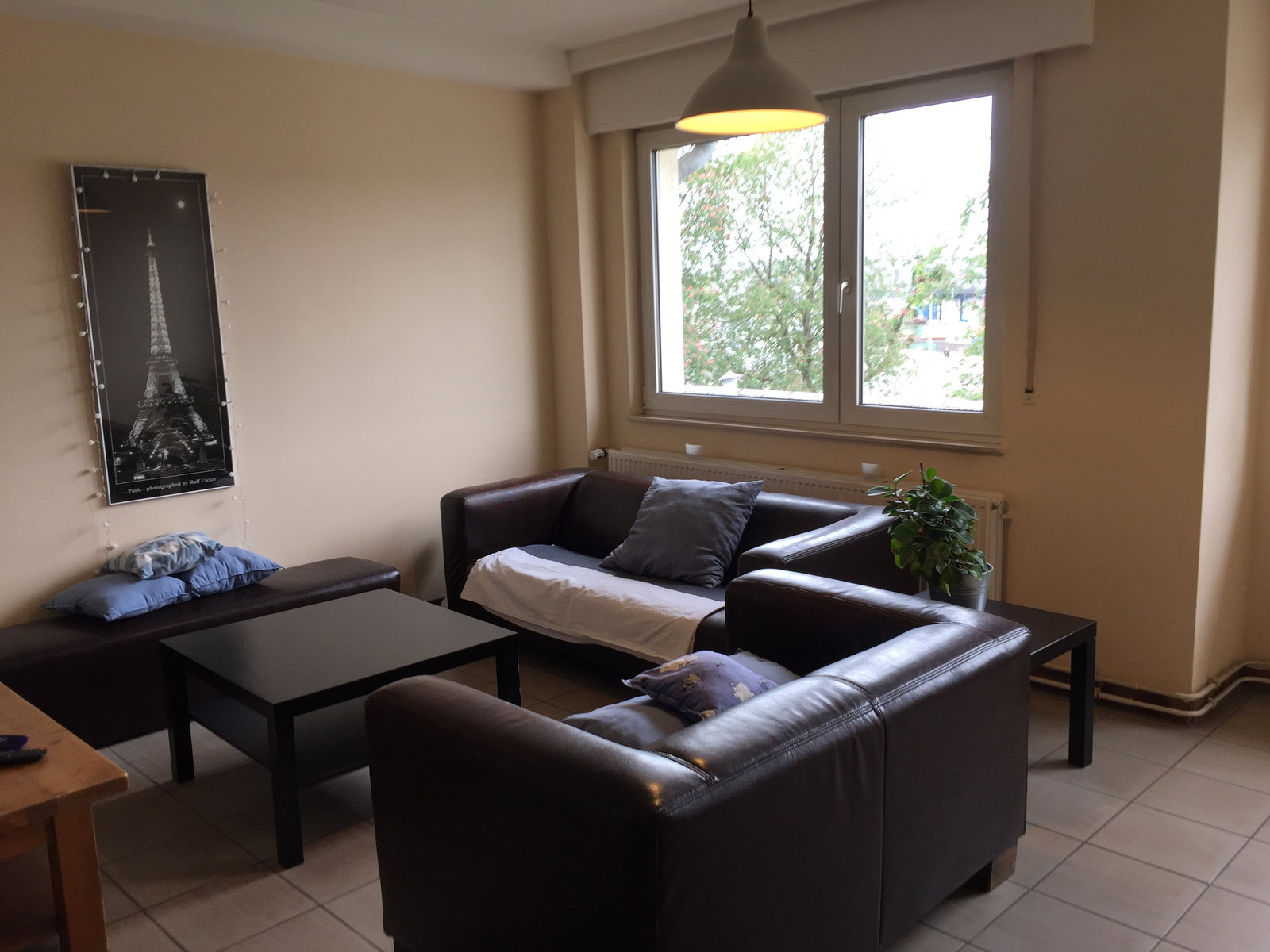 Kolokacja Luxembourg 249667