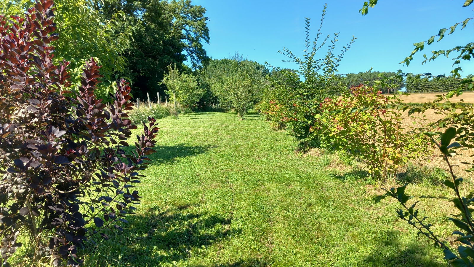 Zakwaterowanie U Rodziny Saint-Just 413789