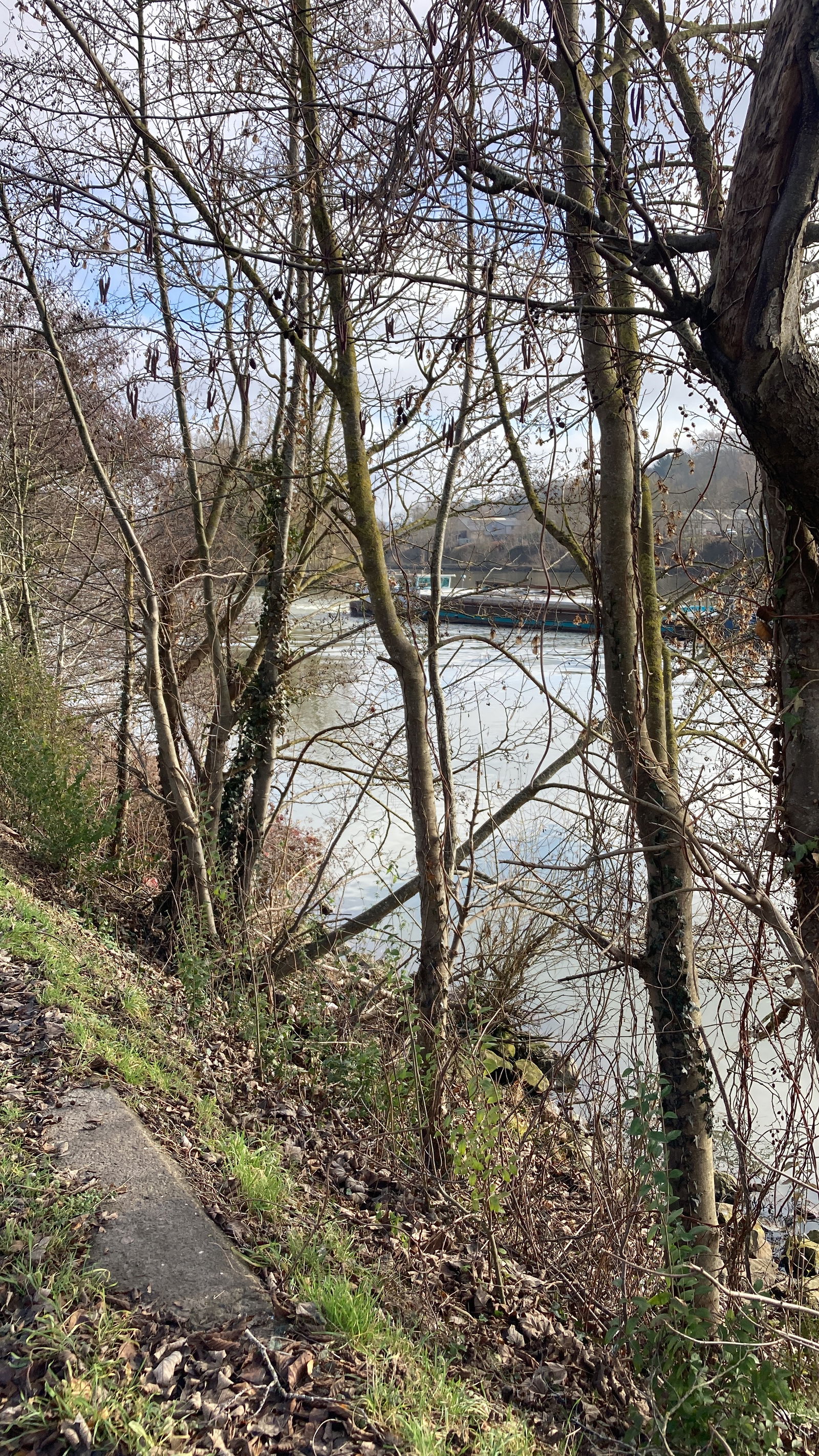 Zakwaterowanie U Rodziny Andenne 425012