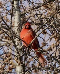 Zakwaterowanie U Rodziny Laval 469572