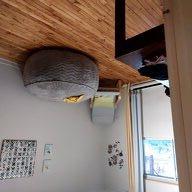 Homestay Montréal 501157