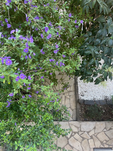 Kolokacja Agde 626293