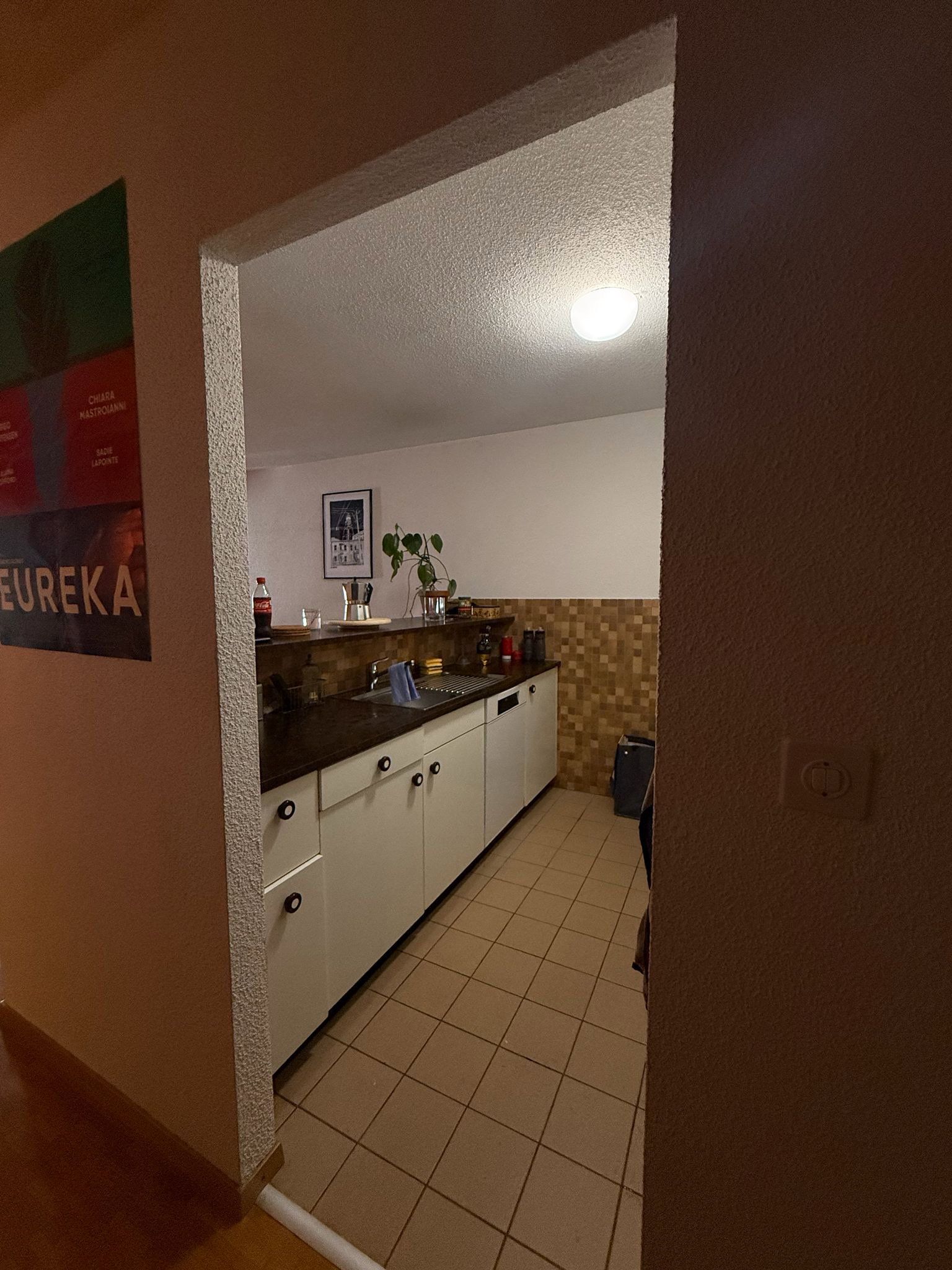 Współdzielone Mieszkanie Lausanne 659797