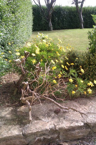 Zakwaterowanie U Rodziny Saint-Frégant 51507