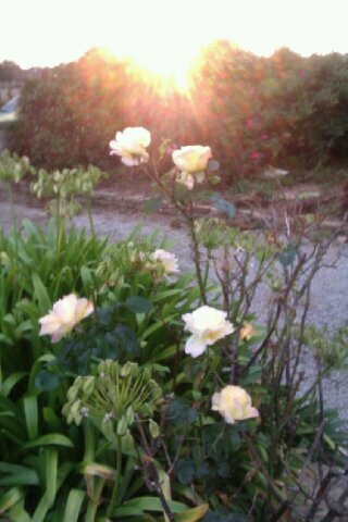 Zakwaterowanie U Rodziny Saint-Frégant 51507