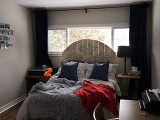 Roomlala | Pokój do wynajęcia- Nr Algonquin College