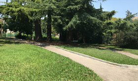 Kolokacja Nice 259101