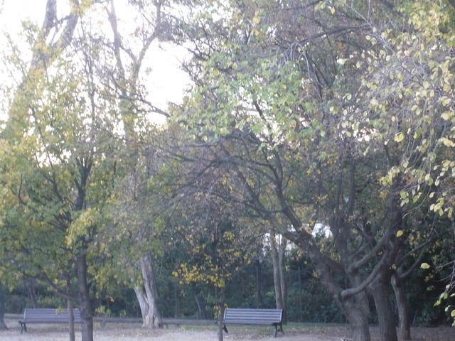 Zakwaterowanie U Rodziny Montpellier 38142