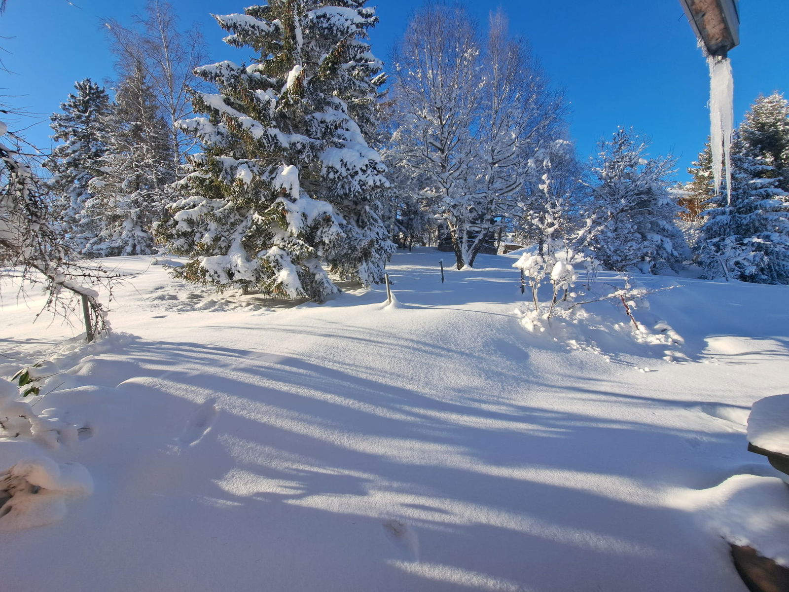 Zakwaterowanie U Rodziny Arbaz 266715