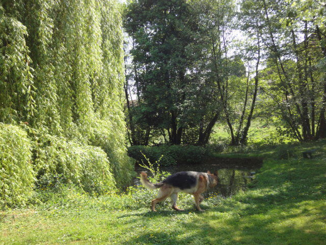 Zakwaterowanie U Rodziny Corbelin 64424