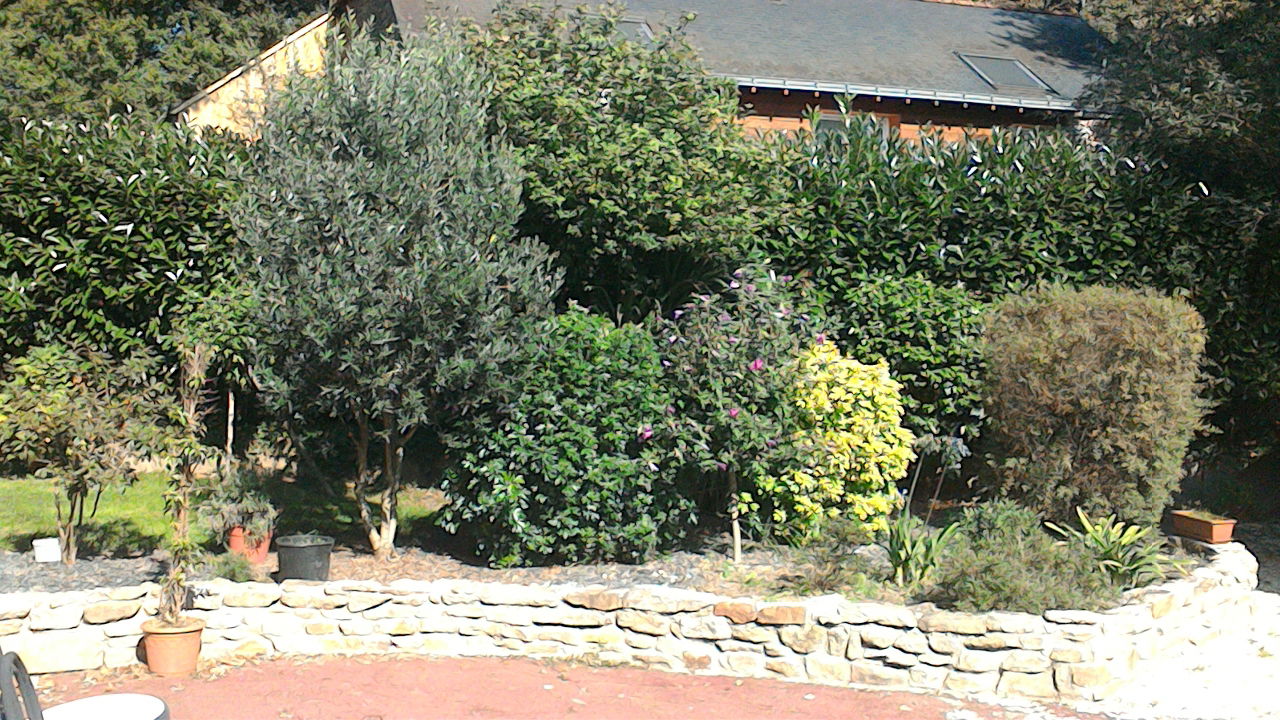 Zakwaterowanie U Rodziny Vigneux-de-Bretagne 115742