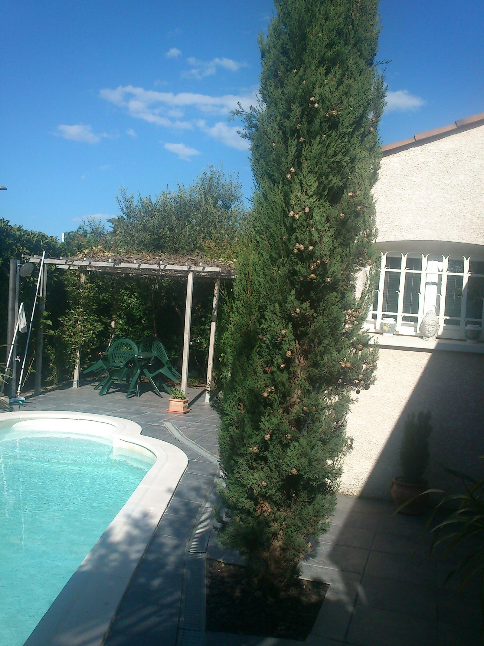 Zakwaterowanie U Rodziny Bassan 97654