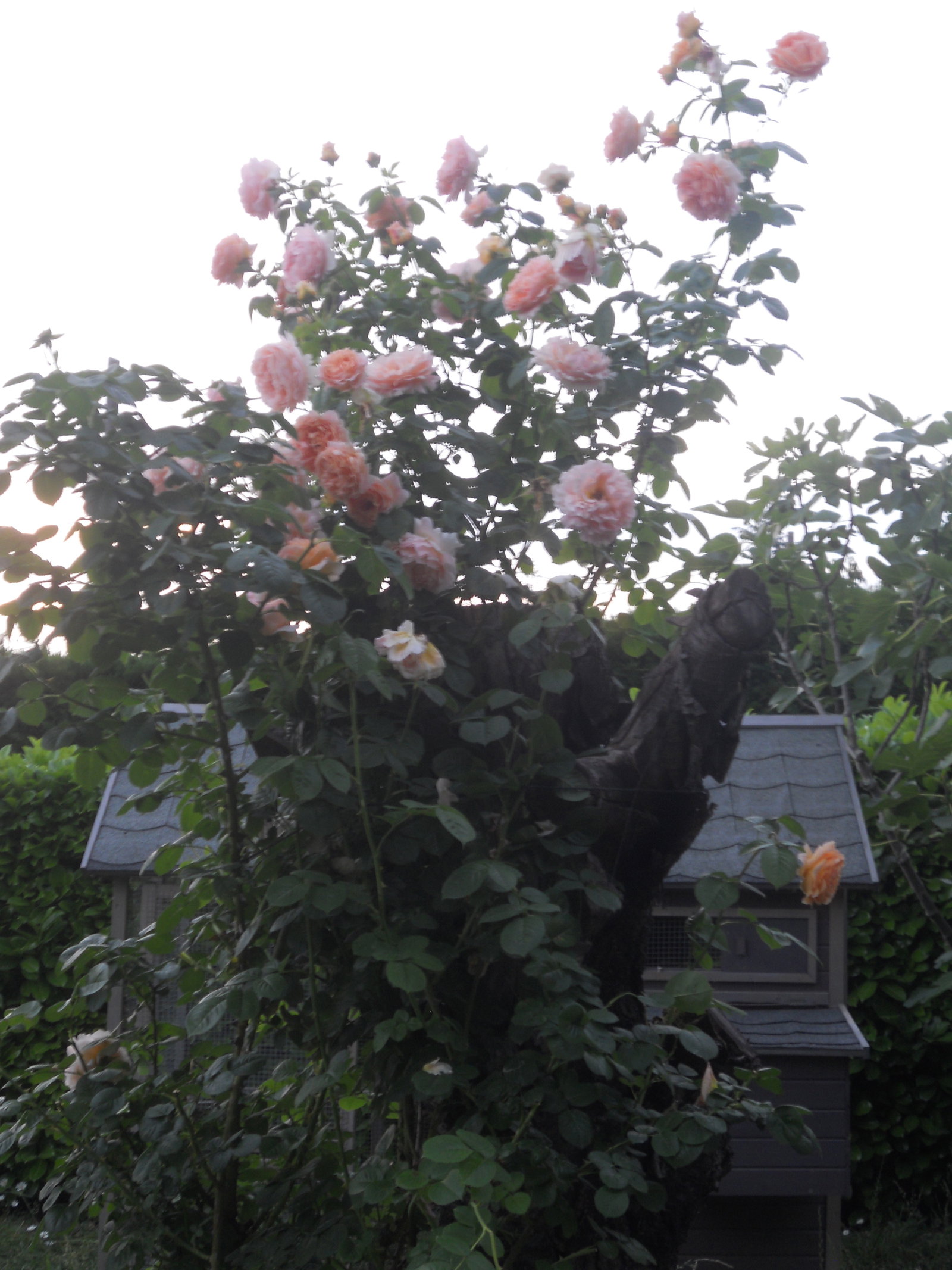 Zakwaterowanie U Rodziny Bon-Encontre 130536