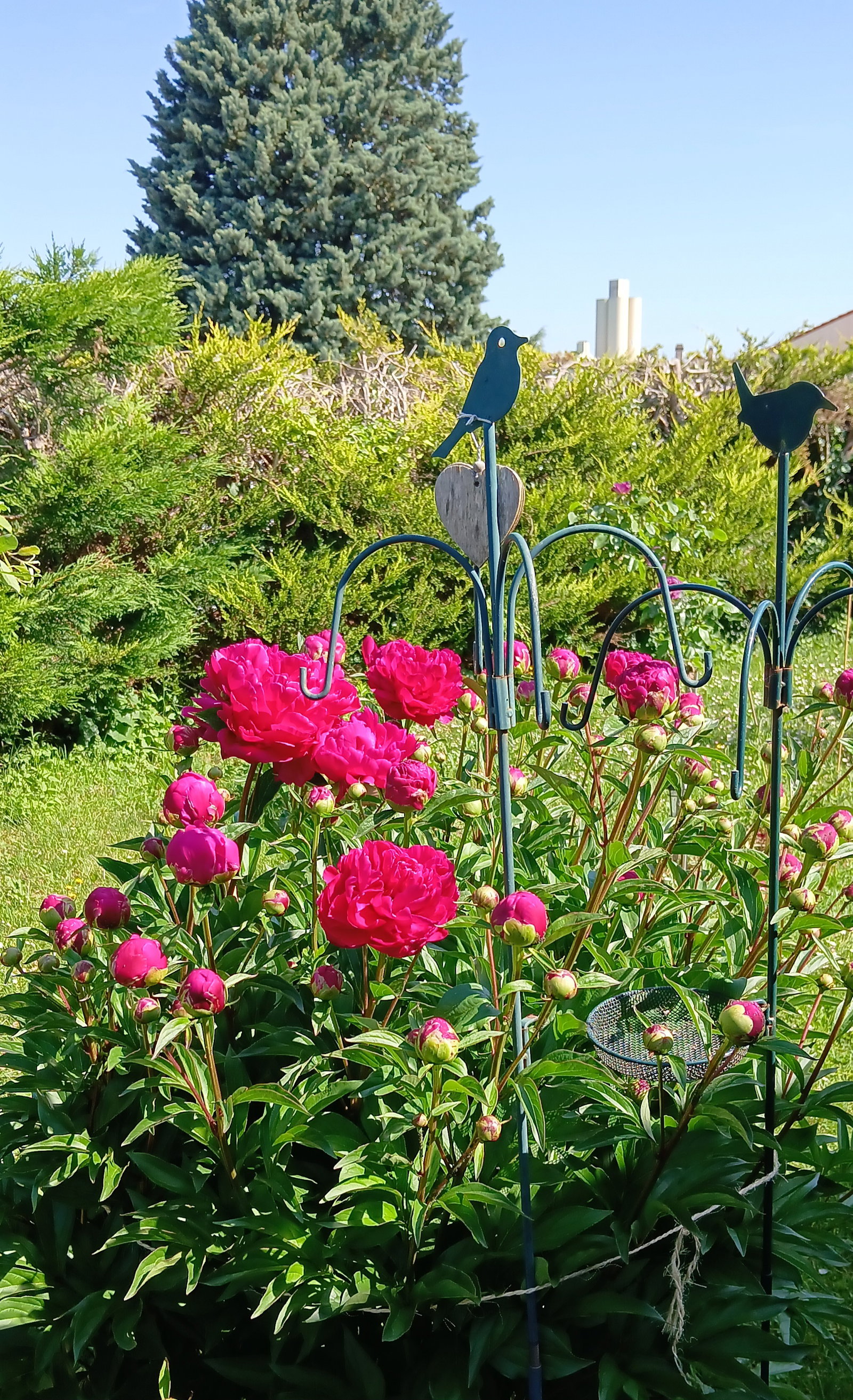 Zakwaterowanie U Rodziny Retonfey 604831