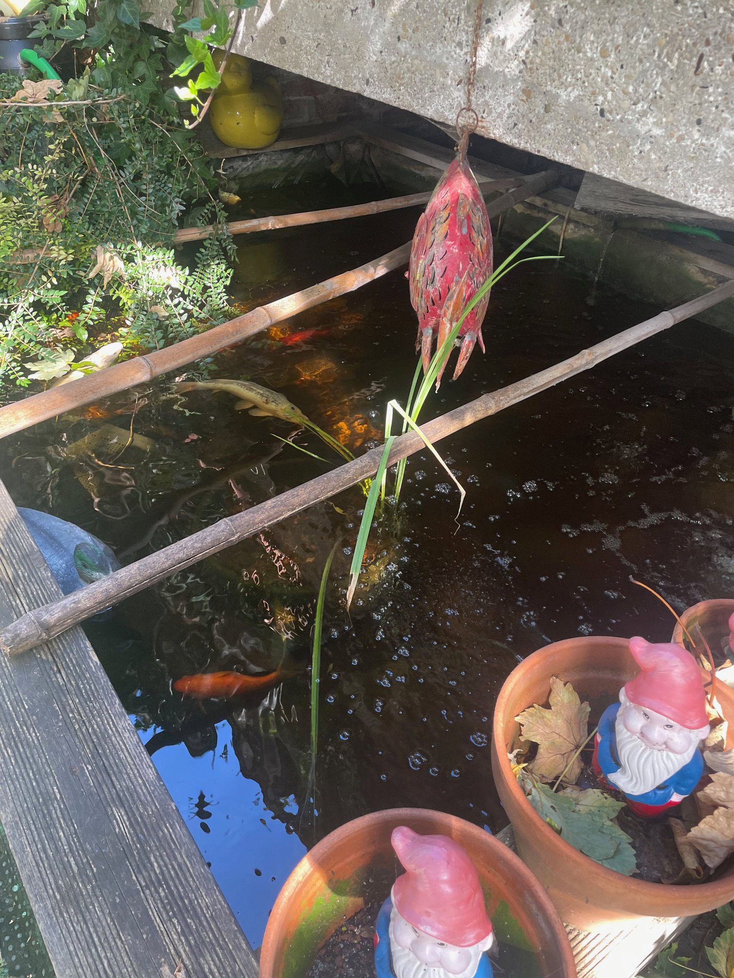 Zakwaterowanie U Rodziny Douai 658091