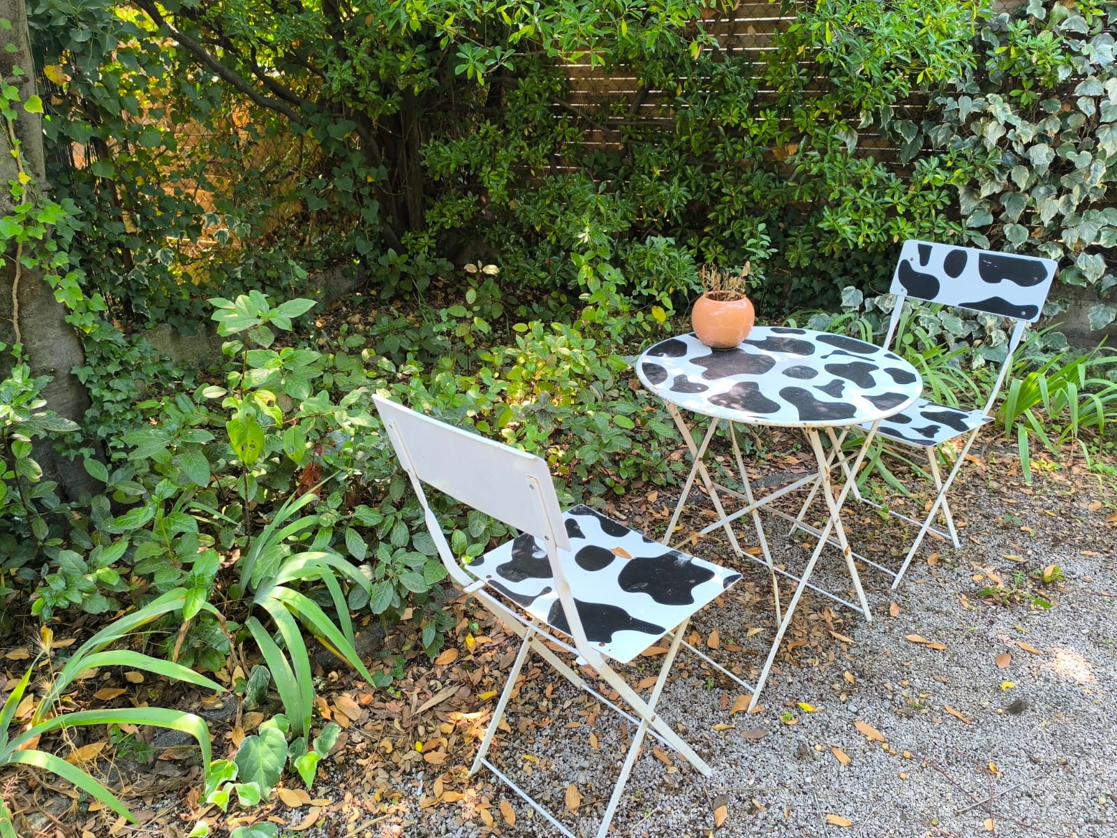 Kolokacja Montpellier 546447